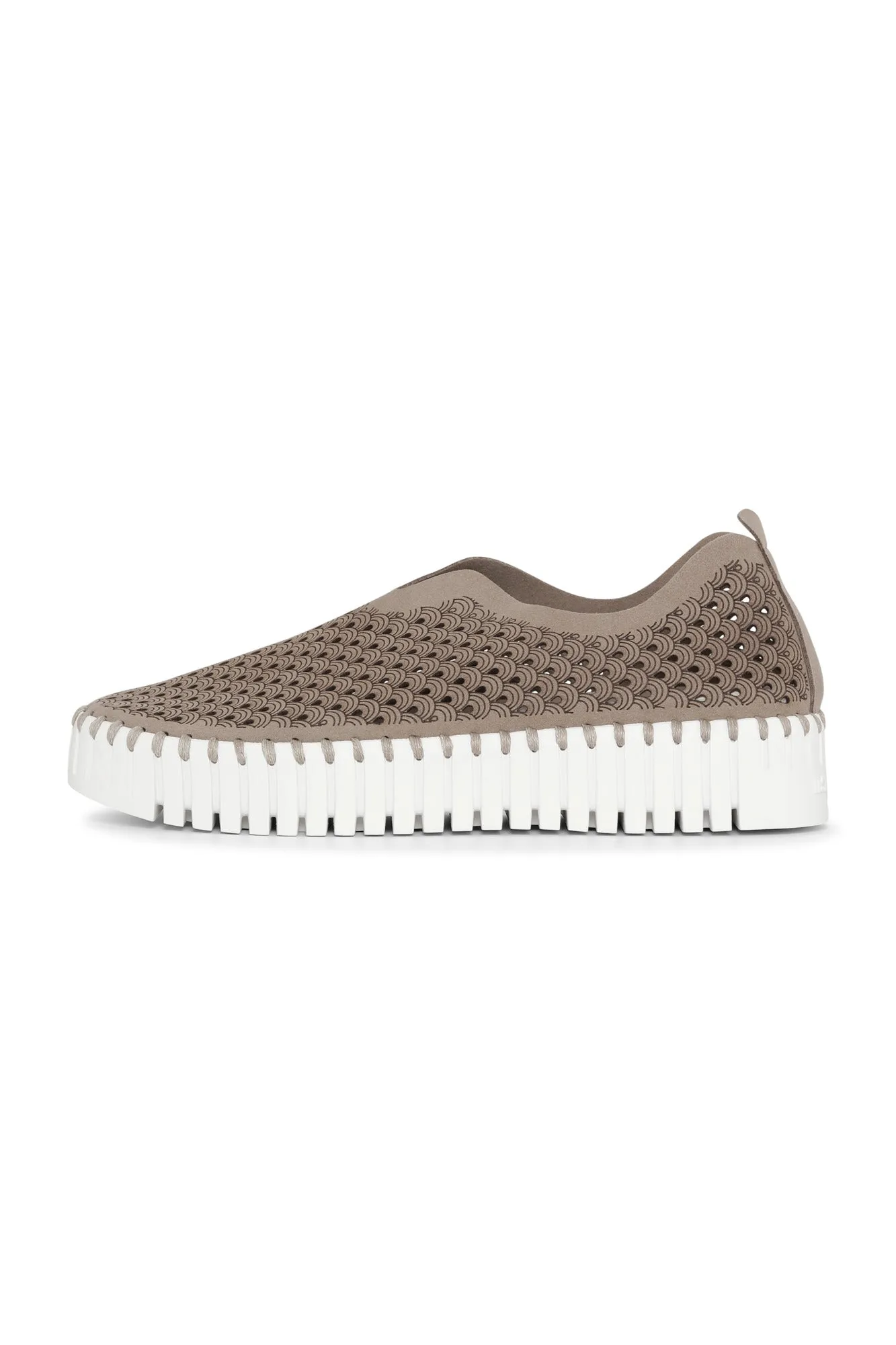 platform tulip flats- falcon